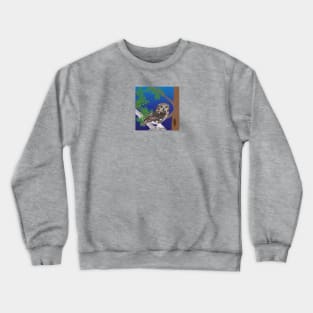 Northern Saw-whet Owl Crewneck Sweatshirt